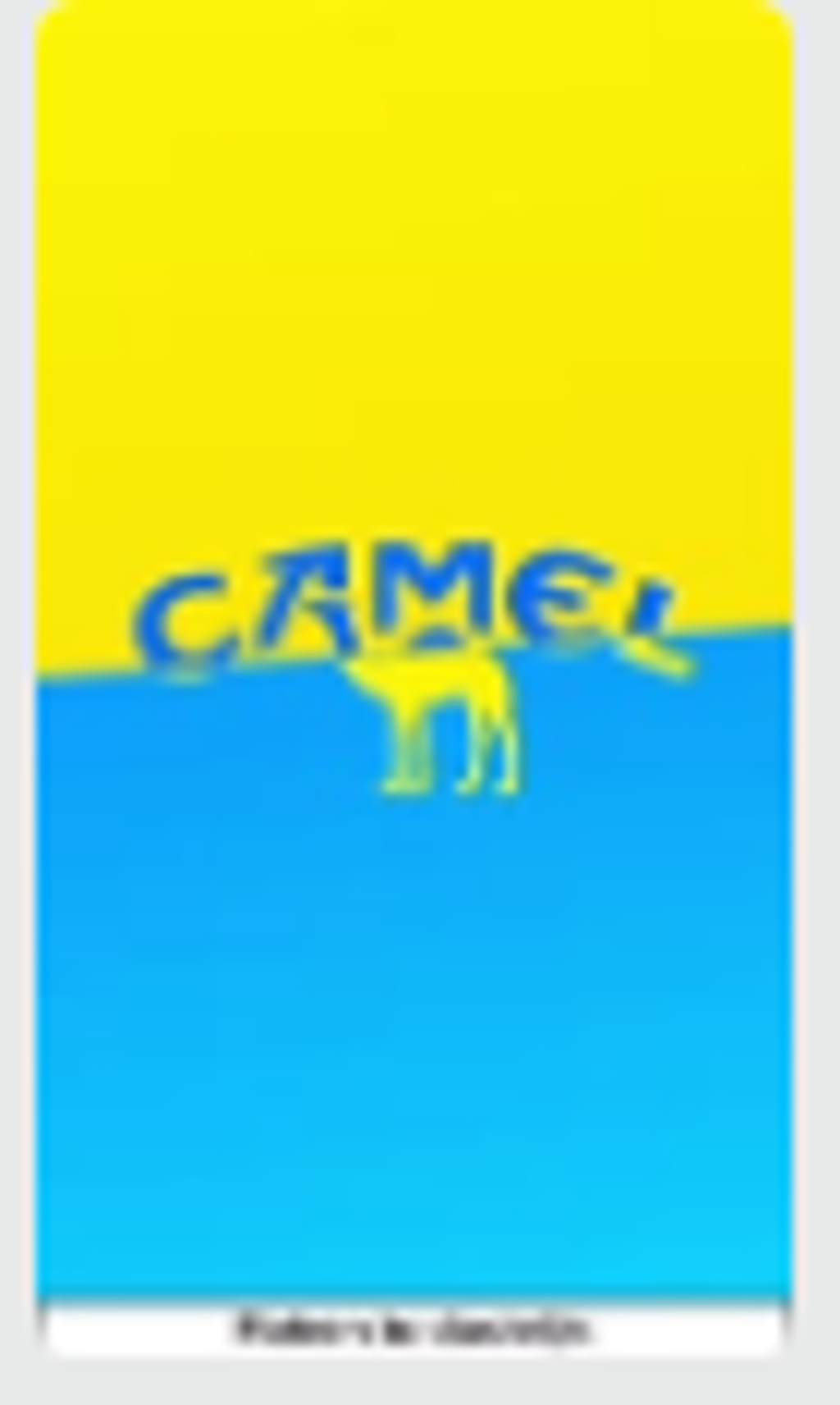 Camel